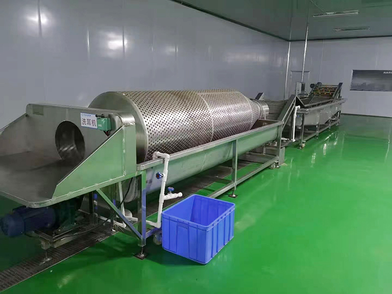全自動木耳清洗機